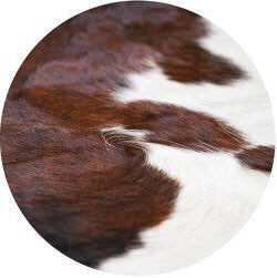 Шкура Brown And White Cowhide Naturale Tricolore Италия