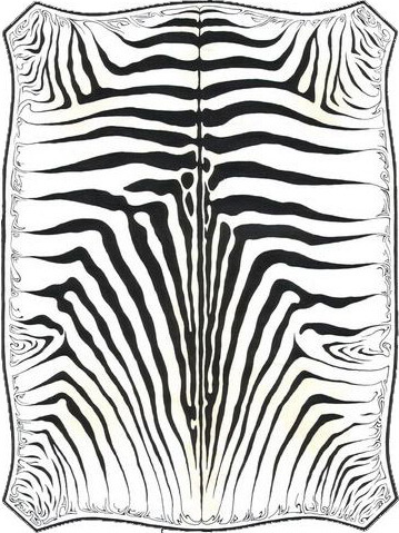 Дизайнерский ковер от Alexadrers Collection Zebra Skin